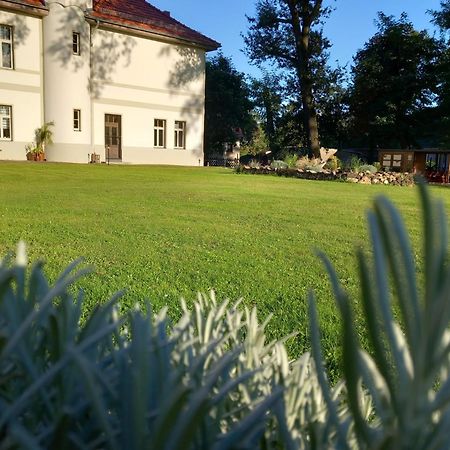 Ferienwohnung Gutshaus Klitzschen Mockrehna Exteriör bild
